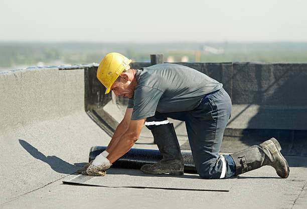 Best Insulation Maintenance and Repair in Miller, SD